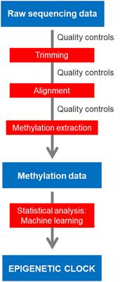 Bioinformatic analysis for age prediction using epigenetic clocks: Application to fisheries management and conservation biology